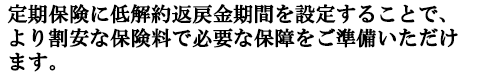 定期保険に低解約返戻金期間を設定することで、より割安な保険料で必要な保障をご準備いただけます。