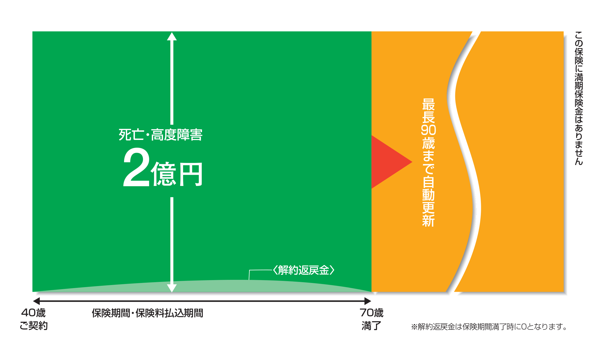 65歳満了定期保険