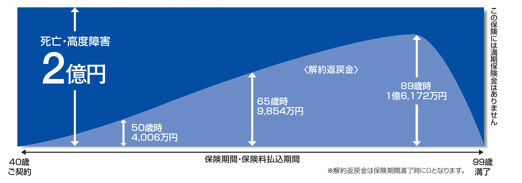 99歳満了定期保険