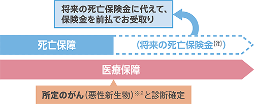 スタンダードプランにオプションとして「特定悪性物保険金前払特約」を追加した場合