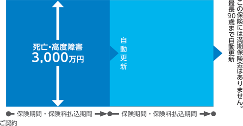 死亡・高度障害3,000万円