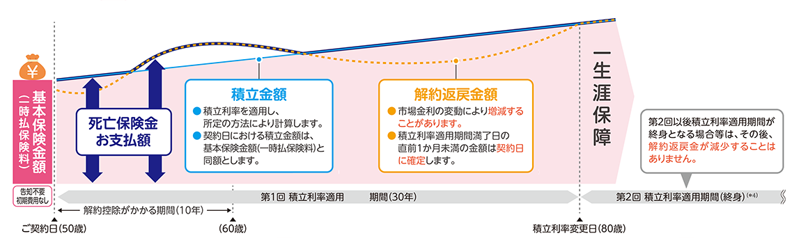 【Ⅱ型】積立金額重視プラン2