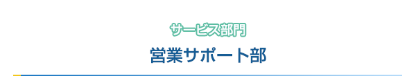cƃT|[g