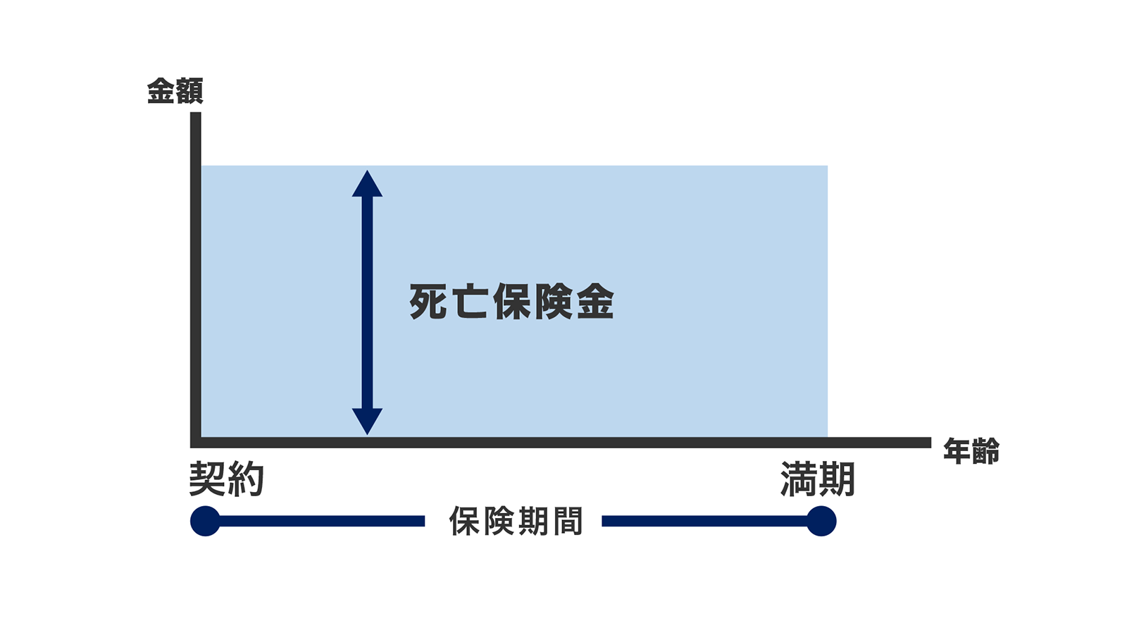 〈図〉定期保険の保険期間と死亡保険金