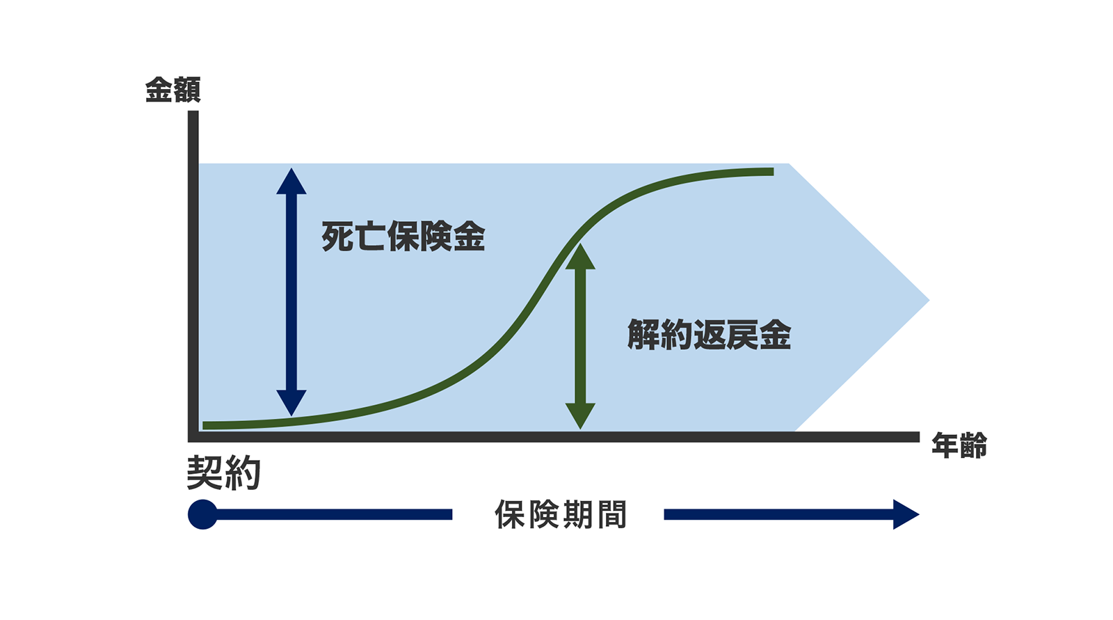 〈図〉終身保険の保険期間と解約返戻金の推移