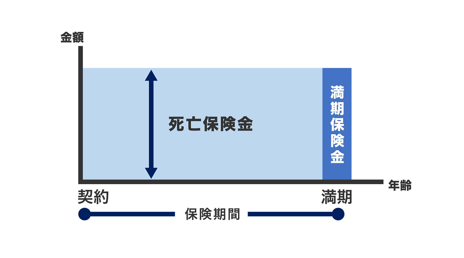 〈図〉養老保険の保険期間と保険金