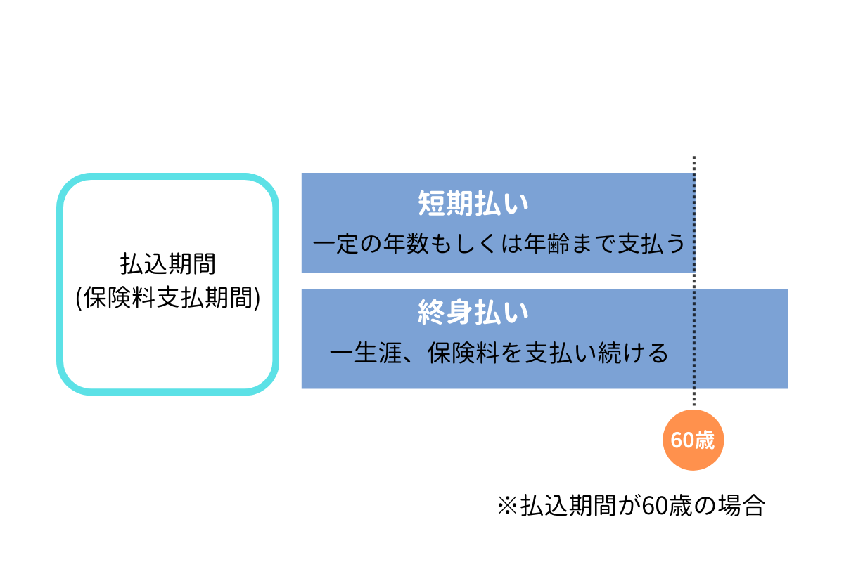 医療保険の払込期間の種類